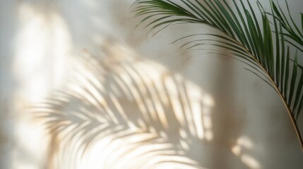 Obraz premium soft natural light casting a large palm leaf shadow on a textured beige wall with a real palm leaf branch extending from the right side