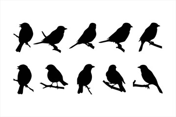 Birds set black silhouette isolated vector