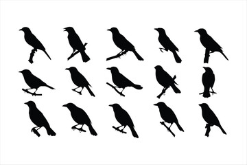 Birds set black silhouette isolated vector