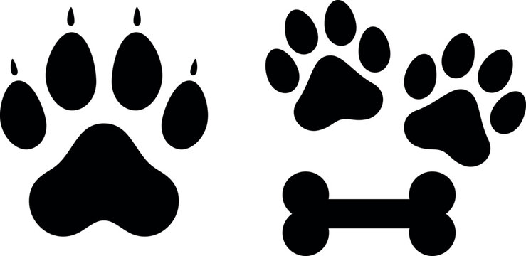 Lion and dog paw print icon isolated on transparent background vector illustration