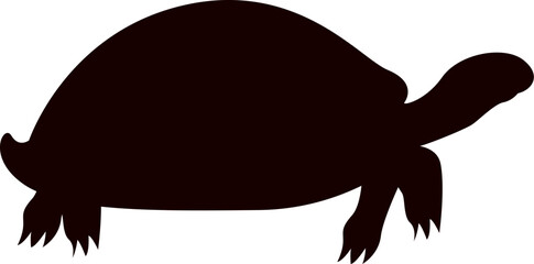 Silhouette vector of turtle on a white background. Turtle marine animal icon. Sea turtle silhouette. vector illustration