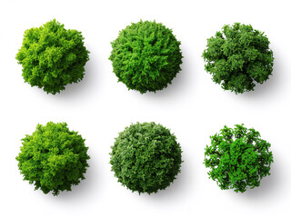 Lush green foliage top view green trees nature