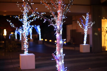 クリスマスのイルミネーション