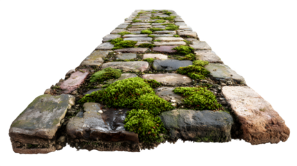 A segment of worn brick pavement with patches of moss growing in crevices, isolated on a Transparent background
