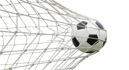 Black and white sphere caught in netting