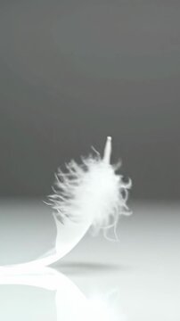 A single, pristine pure white feather, meticulously detailed, drifts gracefully in ultra-slow motion, settling softly on a luminous white surface with subtle bokeh. Concept of profound serenity and
