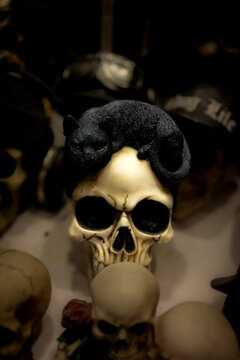 Skull Decor