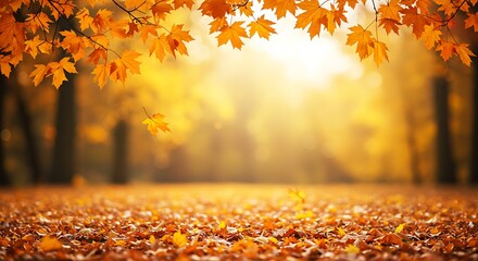 A magical golden autumn landscape with bright, dreamy bokeh lights and branches of colorful leaves overhead.


