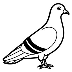 dove of peace