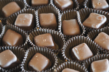 Delicious handmade chocolates arranged in neat rows