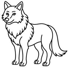 Fototapeta premium vector illustration of wolf