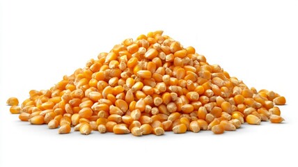 Golden corn kernels on white background. AI image