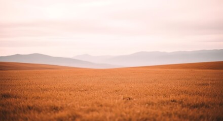 Golden Field with Distant Mountains a Serene Landscape Capturing the Beauty of Nature and Tranquility on an Open Plain Under a Pale Sky