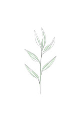 Obraz premium Minimalist white leaf drawing on black background creating an elegant botanical design