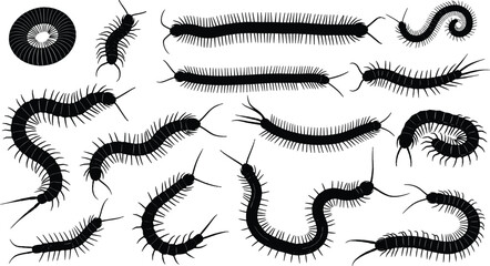 Centipede silhouettes, millipede shapes, coiled form, arthropod design, multi-legged insects, black figures, body structure, nature theme, bug anatomy, insect poses