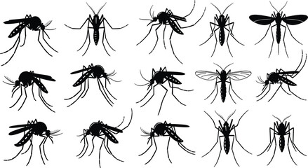 Mosquito silhouettes, fifteen poses, insect anatomy, wing structure, leg detail, body shape, black figures, grid layout, entomology study, disease vector