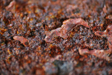 Macro texture of rusty metal