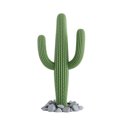 Isolated green columnar cactus with rocks conveying desert tranquility and resilience showcasing