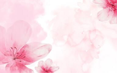 png watercolor pink flower background