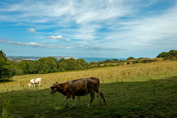 Sandown Bay Isle of Wight