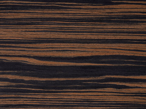 Vivid tiger-striped patterns of burnt sienna weave through the midnight allure of this macassar ebony veneer