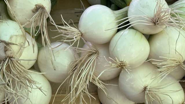 Enigmatic pearl onions cluster enchantingly, heralding culinary whimsy and Lunar New Year feasts, symbolizing prosperity and renewal