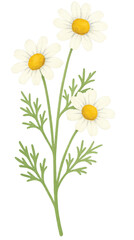 Lemongrass Herbal Spa Ingredient Watercolor