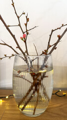 Delicate cherry blossom twigs in ribbed glass vase reflect simplicity, Hanami celebration vibes, Zen minimalism, tranquil home decor