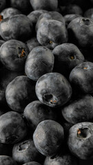 Plump blueberries glisten like midnight jewels, perfect for Nordic Midsummer feasts or as mystical Winter Solstice offerings