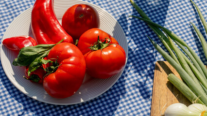 Juicy tomatoes and vibrant peppers bask in sunlight on checkered cloth, reminiscent of Tomato Festival, summer garden calls