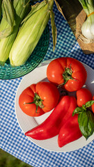 Vibrant heirloom tomatoes and corn evoke rustic harvest festivals, capturing summer's essence amidst checkered nostalgia and organic abundance