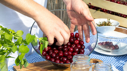 Hands gently rinsing gleaming cherries, echoing midsummer harvest rituals, Nordic solstice feasts,...