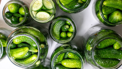 Pickles nestle in jars like emerald treasures, evoking tangy whispers of Fermentation Day and...