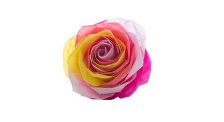 Captivating Rose Unfolds its Colorful Petals Against a Transparent Background, Showcasing Floral Beauty