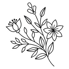 Elegant Line Art Floral Illustration: Botanical Design Element