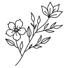 Elegant Line Art Floral Design: Botanical Illustration of Flowers and Leaves for Branding and Decor