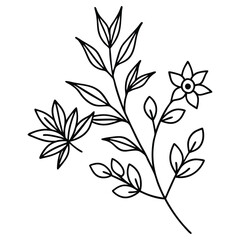 Elegant floral branch with leaves and flowers in minimalist line art