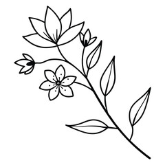 Obraz premium Simple Line Drawing of a Delicate Flower Branch.