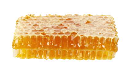 Close up of honeycomb with golden hexagonal wax cells full of sweet honey isolated on white background