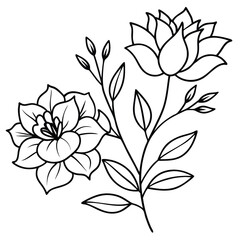 Elegant black and white line art illustration of two blooming flowers with leaves and buds, perfect for coloring or design.