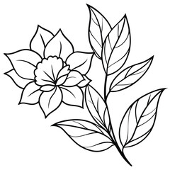 Detailed black and white line art illustration of a flower and leaves.