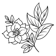 A delicate black and white line drawing of a blooming succulent flower with several leaves on a stem.