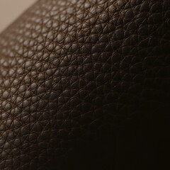 Pebbled leather texture close-up
