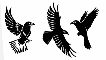 Obraz premium Three black birds in flight with detailed feather patterns against a white background image design art silhouette