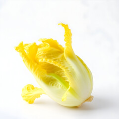 A vibrant yellow Radicchio with delicate, almost lace-like leaves and intricate details, placed against a clean and pristine white background
