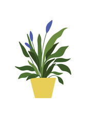 Flower best top icon vactor image.eps