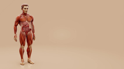 Conceptual illustration of a man's anatomy and colon cancer