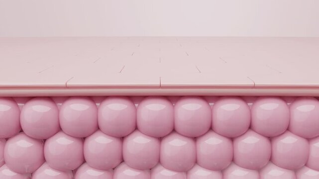 Skin cell regeneration from deep layer for whitening 3d animation