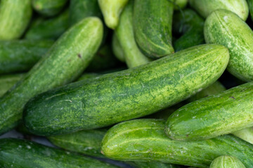 Fresh green cucumbers stacked together, perfect for healthy diet, salad ingredients, vegetable market, and organic food.