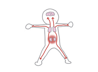 Oriental medicine human body organs and functions illustration